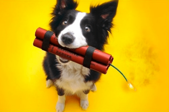 Skjermbilde 2014-12-13 kl. 11.56.31